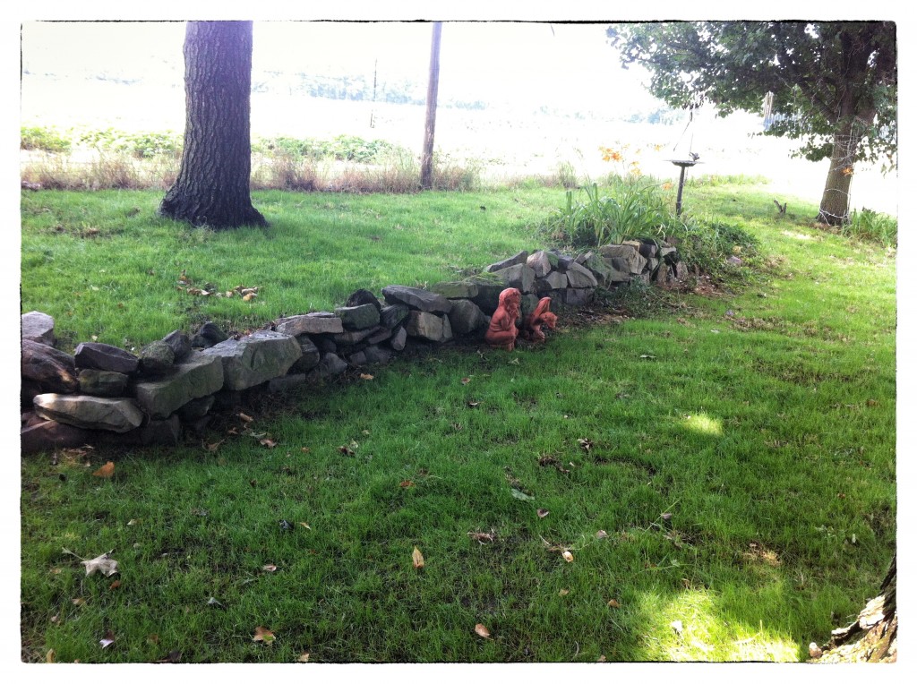Back Yard Lawn