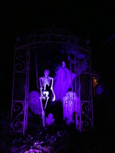 IMG_7018