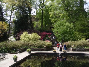 Reflecting Pool