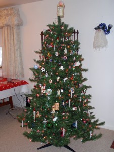 Main Tree Main Tree