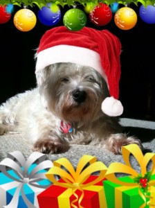 christmas-princess christmas-princess