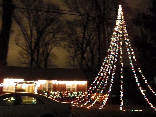 Huge Chritstmas Tree Huge Christmas Tree