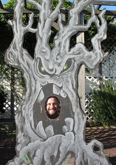 dustin-tree