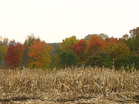 img_4360.jpg