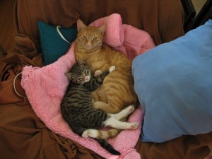 img_4426 img_4426