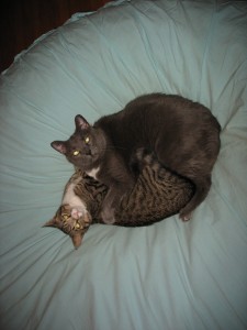 img_4863 img_4863