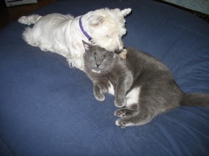 img_50571 img_50571