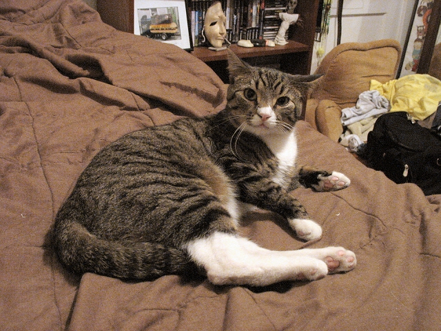 Grim 1 Year Old
